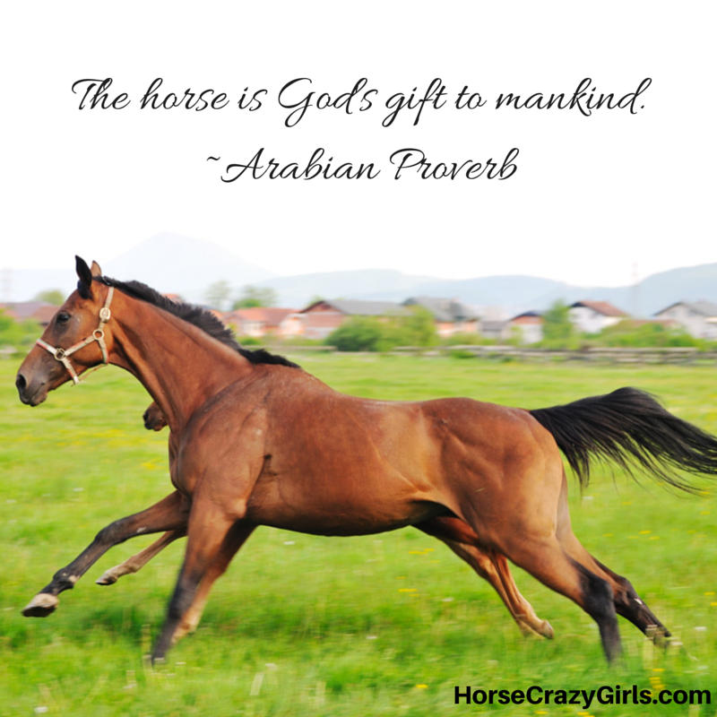 A picture of two horses galloping through a field with the quote "Horses are God's gift to mankind" - Arabian Proverb