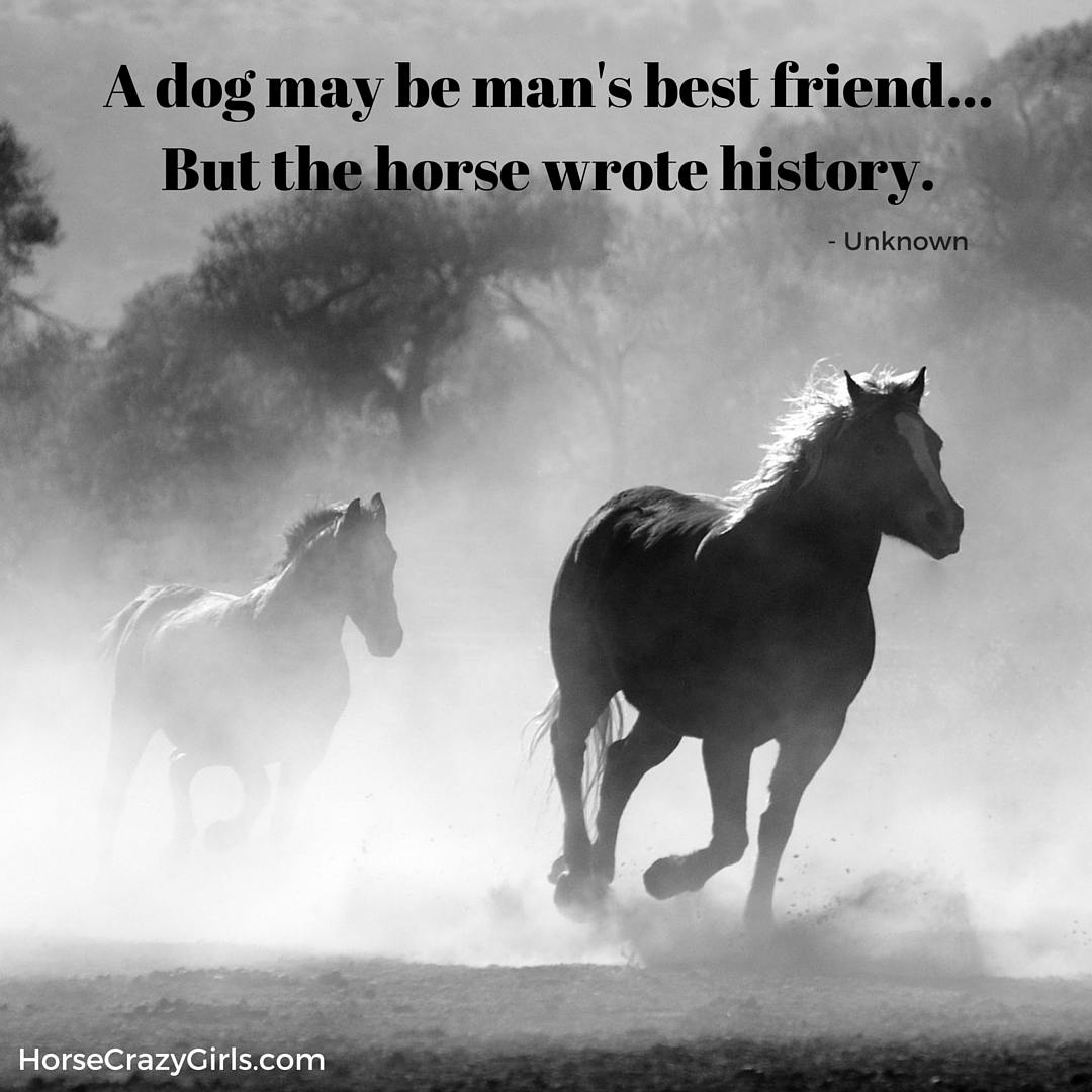 A black and white image of horses galloping with the quote 