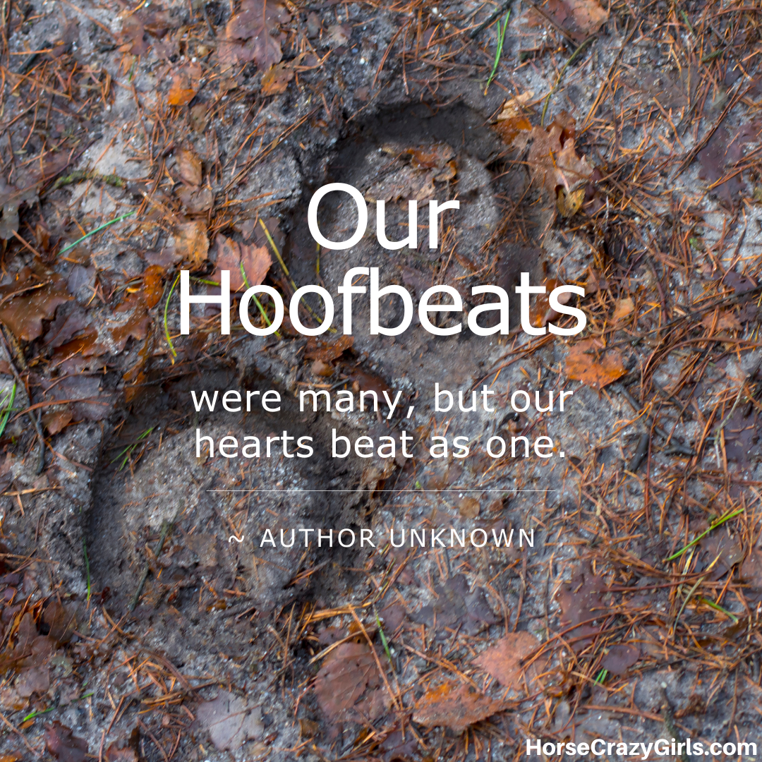 A picture of hoof prints in mud with the quote “Our hoofbeats were many, but our hearts beat as one.” ~ Author Unknown