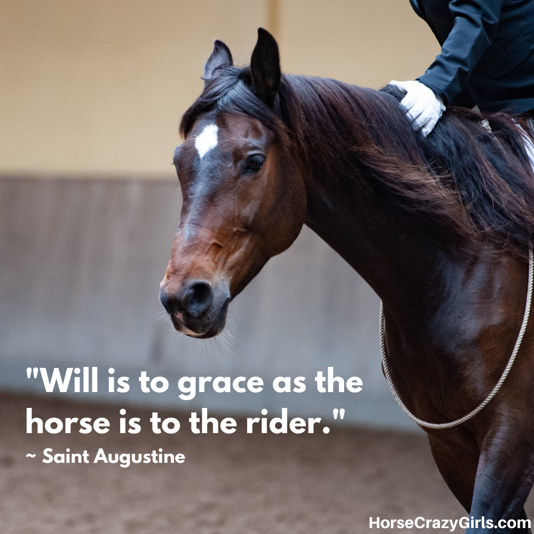 A picture of a rider's hand on a horse with the quote "Will is to grace as the horse is to the rider." ~ Saint Augustine