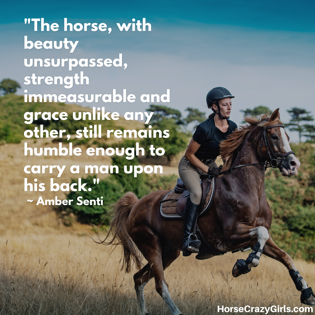 A picture of a girl riding a horse with the quote "The horse, with beauty unsurpassed, strength immeasurable and grace unlike any other..." ~ Amber Senti