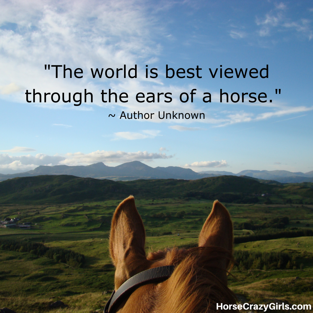 A picture of a field and the back of a horse's ears with the quote "The world is best viewed through the ears of a horse." ~ Author Unknown