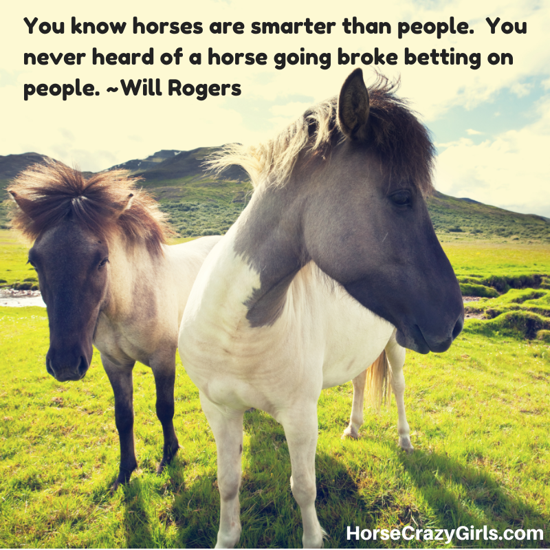 A picture of two white horses in a green field with the quote "You know horses are smarter than people. You never heard of a horse going broke betting on people." -Will Rogers