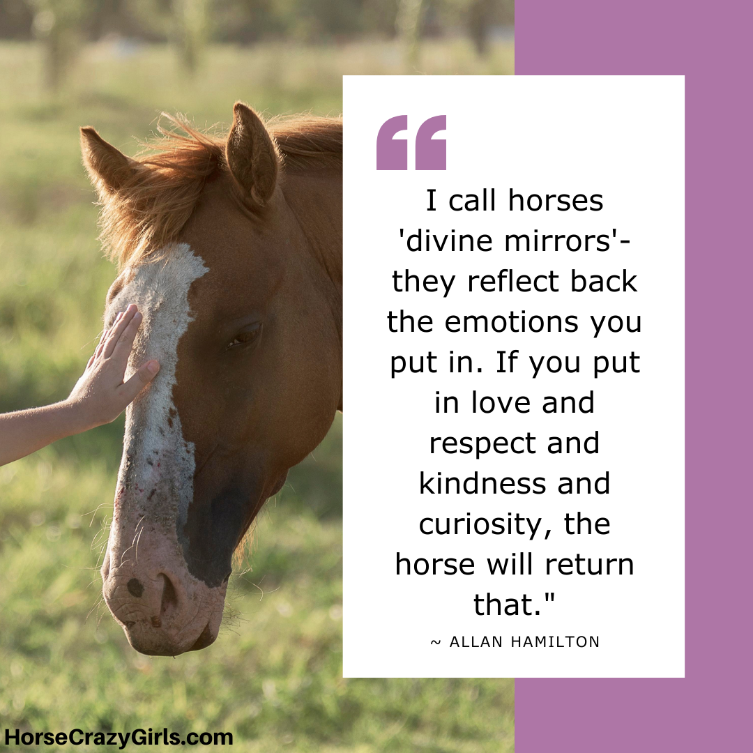 A picture of a hand touching a horse's nose with the quote "I call horses 'divine mirrors'- they reflect back the emotions you put in. If you put in love and respect.... ~ Allan Hamilton