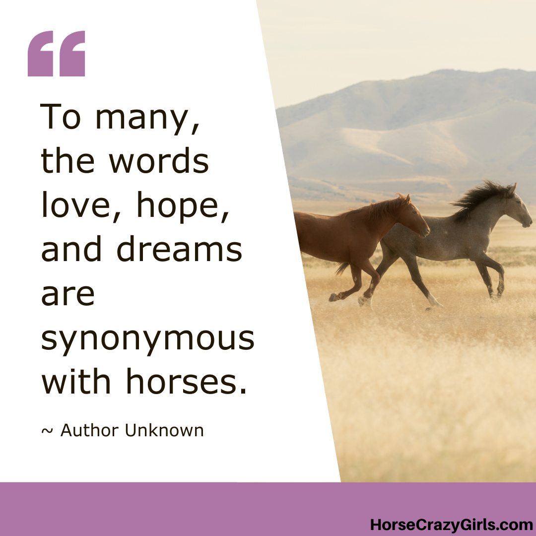 A picture of two horses galloping with the quote "To many, the words love, hope, and dreams are synonymous with horses." ~Author Unknown