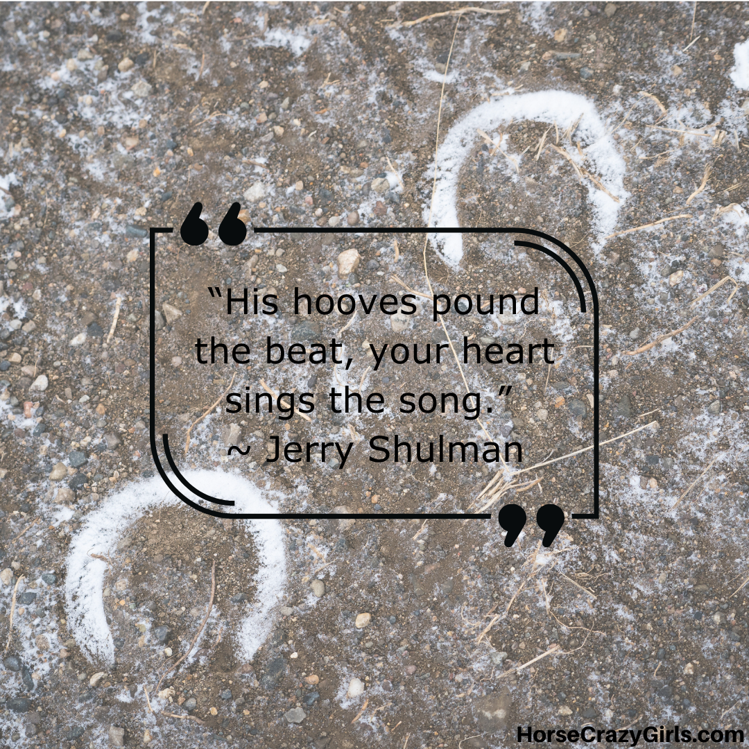 A picture of hoof prints in sand with the quote “His hooves pound the beat, your heart sings the song.” ~ Jerry Shulman