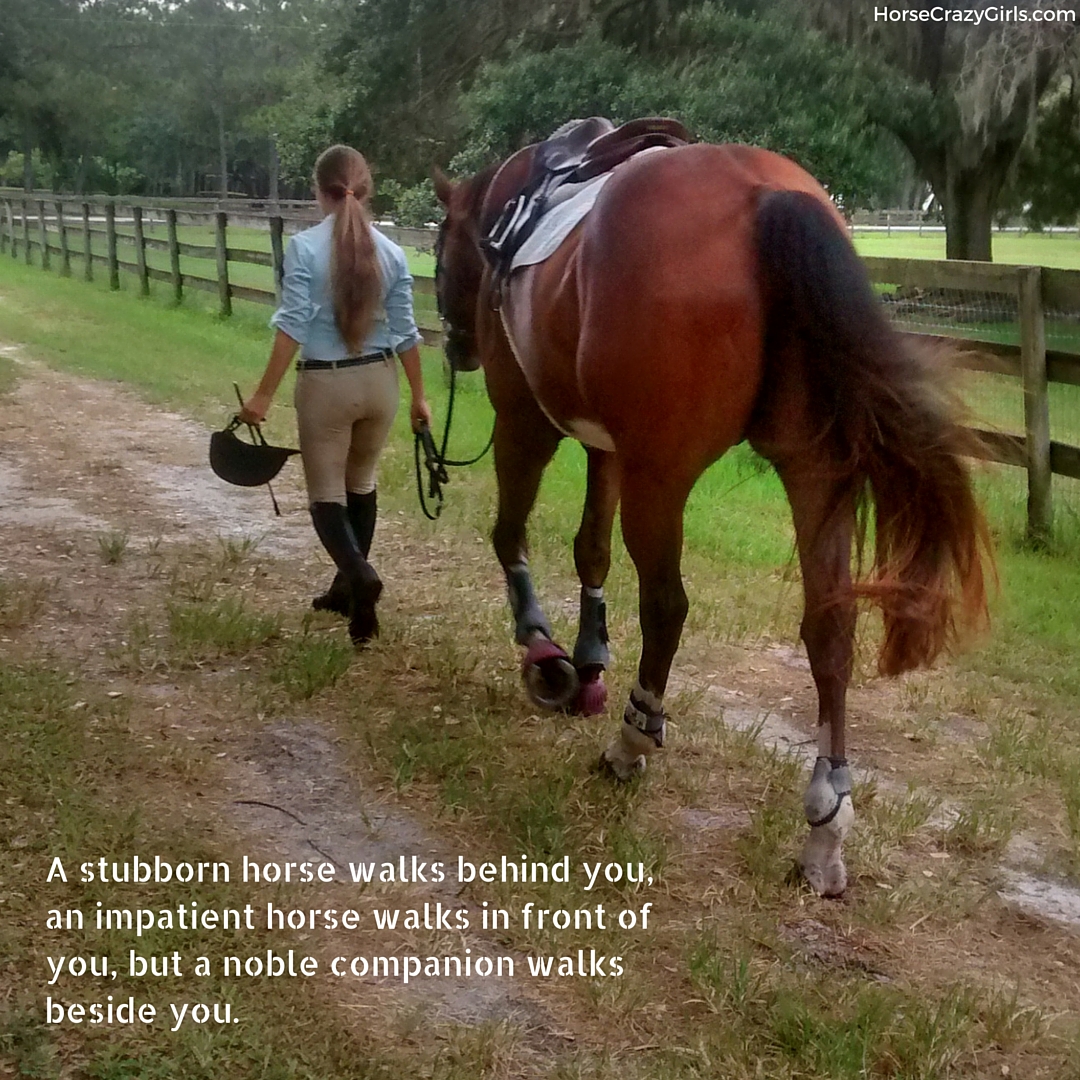 Girl walking with her horse. The quote on the picture says A stubborn horse walks behind you, an impatient horse walks in front of you, but a noble companion walks beside you.