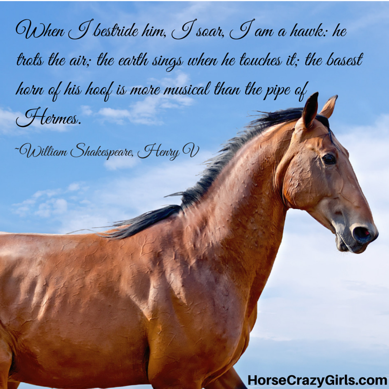 A bay horse galloping with a quote by William Shakespeare from Henry V.