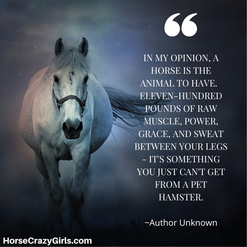 "In my opinion, a horse is the animal to have. Eleven-hundred pounds of raw muscle, power, grace, and sweat between your legs - it's something you just can't get from a pet hamster."