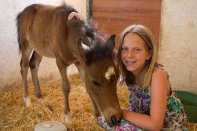 Foal whose mother was killed and the rescue center took in.