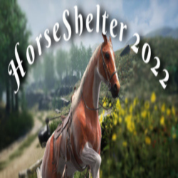 An image of the horse riding game, Horse Shelter 2022.