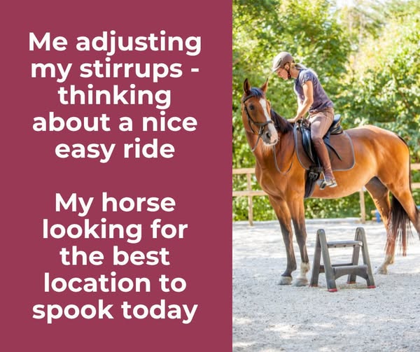 Person adjusting their stirrup on their horse with text that says me adjusting my stirrup thinking of a nice relaxing ride. My horse looking for the best location to spook.