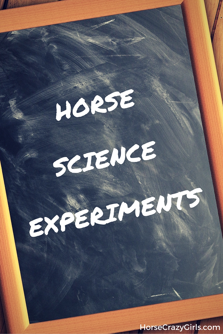 Horse Science Experiments