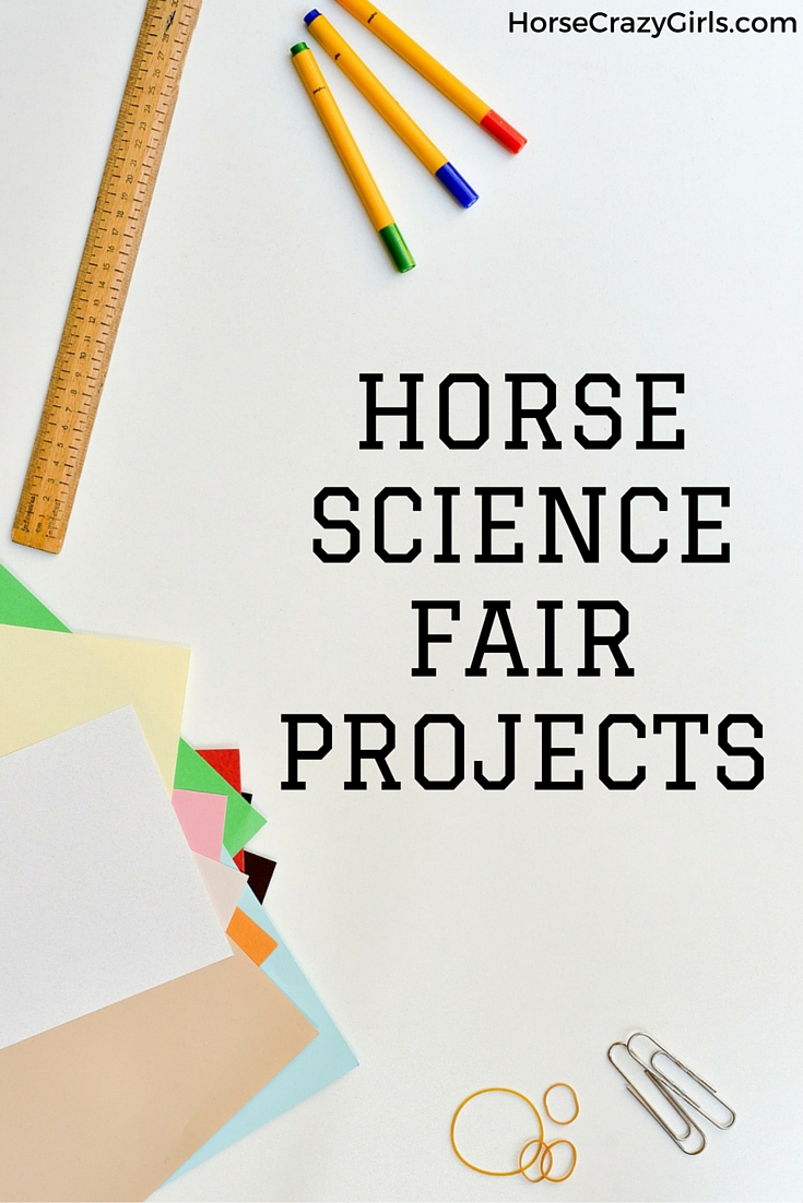 Paper in the bottom left corner, a ruler above the paper, and markers to the upper right. There are rubber bands and paper clips at the bottom. The words Horse Science Fair Projects near the middle.