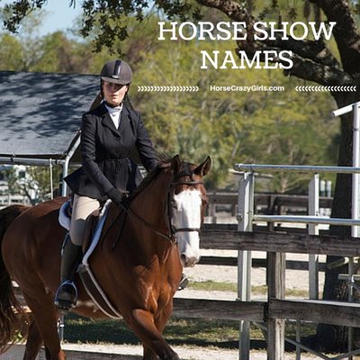 A bay horse with a white blaze, blue eye, and a white belly spot cantering. The horse is wearing english tack and the rider is dressed in english show apparel. There is a fence, bleachers, a gazebo, trees, and another arena behind them. In the upper right hand corner in white lettering are the words Horse Show Names.