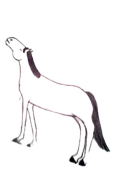 A drawing showing a horse standing on a line with its face pointed up towards the sky.