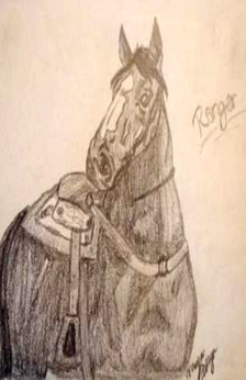 A drawing of a horse wearing a bridle, breast collar, saddle pad, and a saddle.