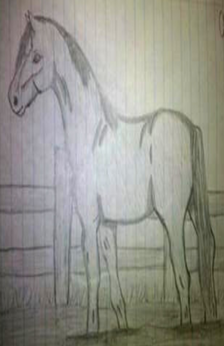 A drawing of a horse standing by a gate with a tree off to the side.