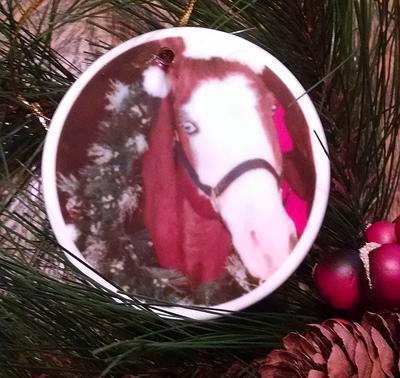 Horse Stocking Stuffers DIY Ornament
