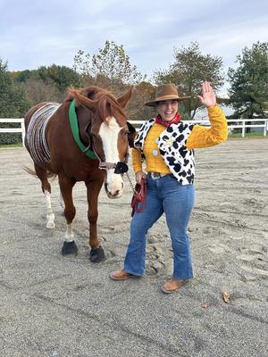 Horse Story horse Halloween costume 2024