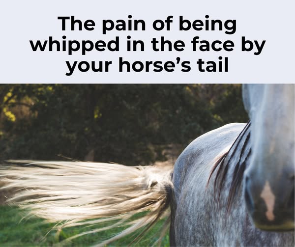Text says the pain of being whipped in the face by your horse's tail and has a picture of a horse flicking their tail