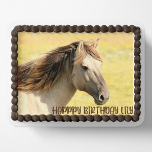 Horse Edible Birthday Cake Toppers for wild horses themed horse party