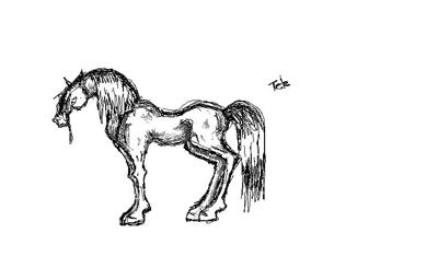 A pencil drawing of a horse standing still.