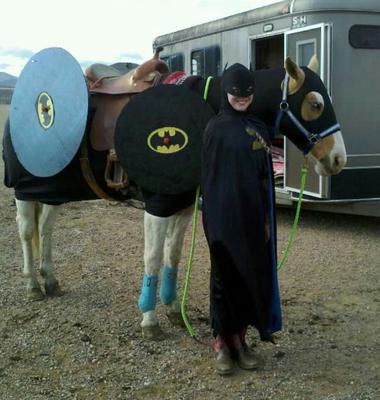 A horse dressed like the Batman mobile and a girl standing next to the horse dressed like Batman.