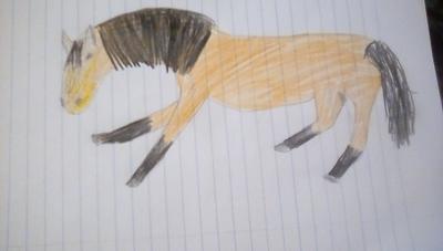 A drawing of a buckskin horse trying to stand.