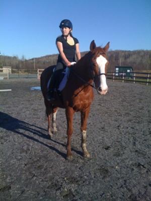 This is my horse Aramis!