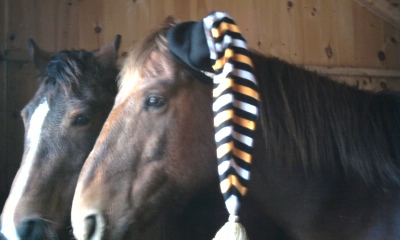 Hoss is big a steelers fan