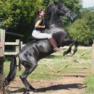 this is me and my stallion beauty having fun