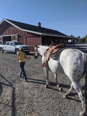 My Grandma's Horse, Cheerio.