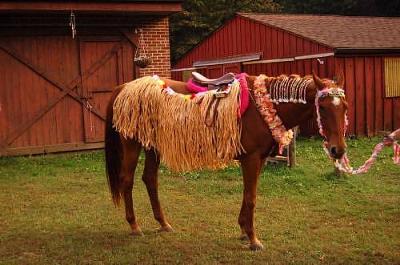 horse halloween costume hula horse