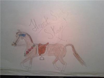 A drawing of a bay horse trotting while wearing a saddle, saddle pad, bridle, and breast collar. The words 'Hunt Seat Star' are on the drawing.