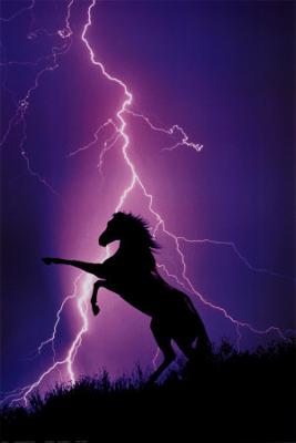 This is my fave poster!!!