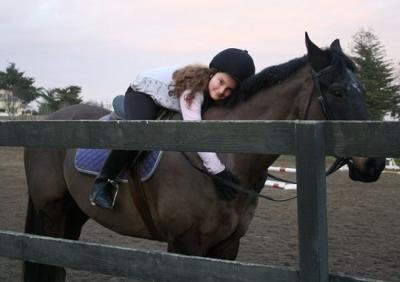 This is Dash. He is the sweetest horse I've ever met. He is a Thoroughbred. I ride him in my lessons. He is my favorite lesson horse. <3