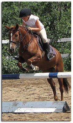 this is me and my jumping horse lou lou 