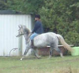 This is me on Izzy!!!