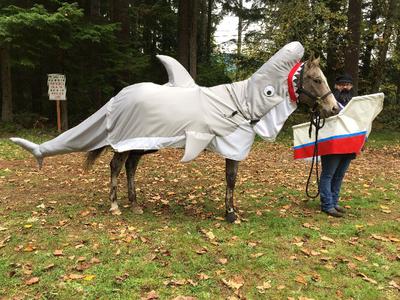 A horse dressed up as a shark standing with a person dressed up as a boat.