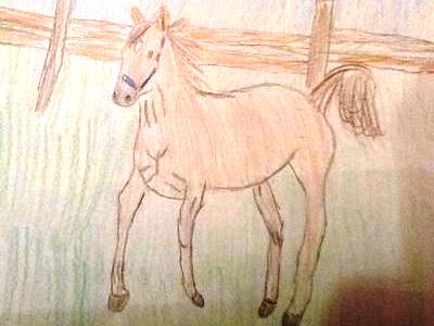 A drawing of a light chestnut horse who is wearing a halter in a paddock. The fence is behind the horse who appears to be walking on grass.