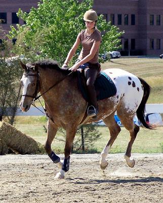The Buskin horse.