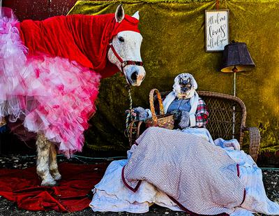 Little Red Riding Hood horse Halloween costume