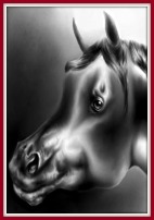 An Arabian horse head drawing that is completely shaded in. The background also has shading.
