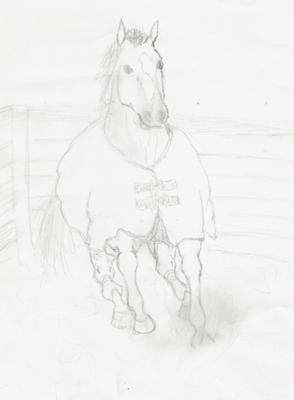A pencil drawing of a horse galloping in a paddock wearing a blanket.