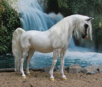 This is an example for what I think is the horse suited best to 