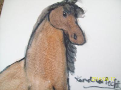A drawing of the Thoroughbred racehorse Man O' War standing still. The drawing captures Man O' War from the chest up.