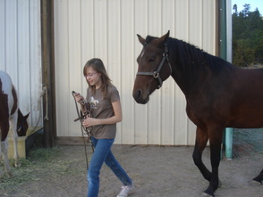 Millie and Abby, a pair for life. <3 (She's chasing me around the stable yard LOL)
