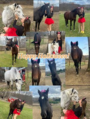 Minnie and Mickey horse Halloween costume