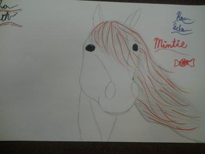 A pencil drawing of a horse's head. The horse's mane has red streaks in it and the words Mintie appear on the drawing along side a drawing of a mint and some other text that can't be read.